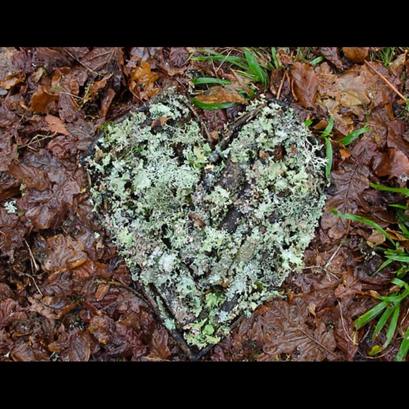 Welcome - Picture 14 of 16